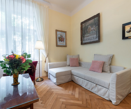 Historic apartment close to Square of Peace