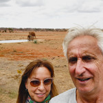 Landlords profile photo
