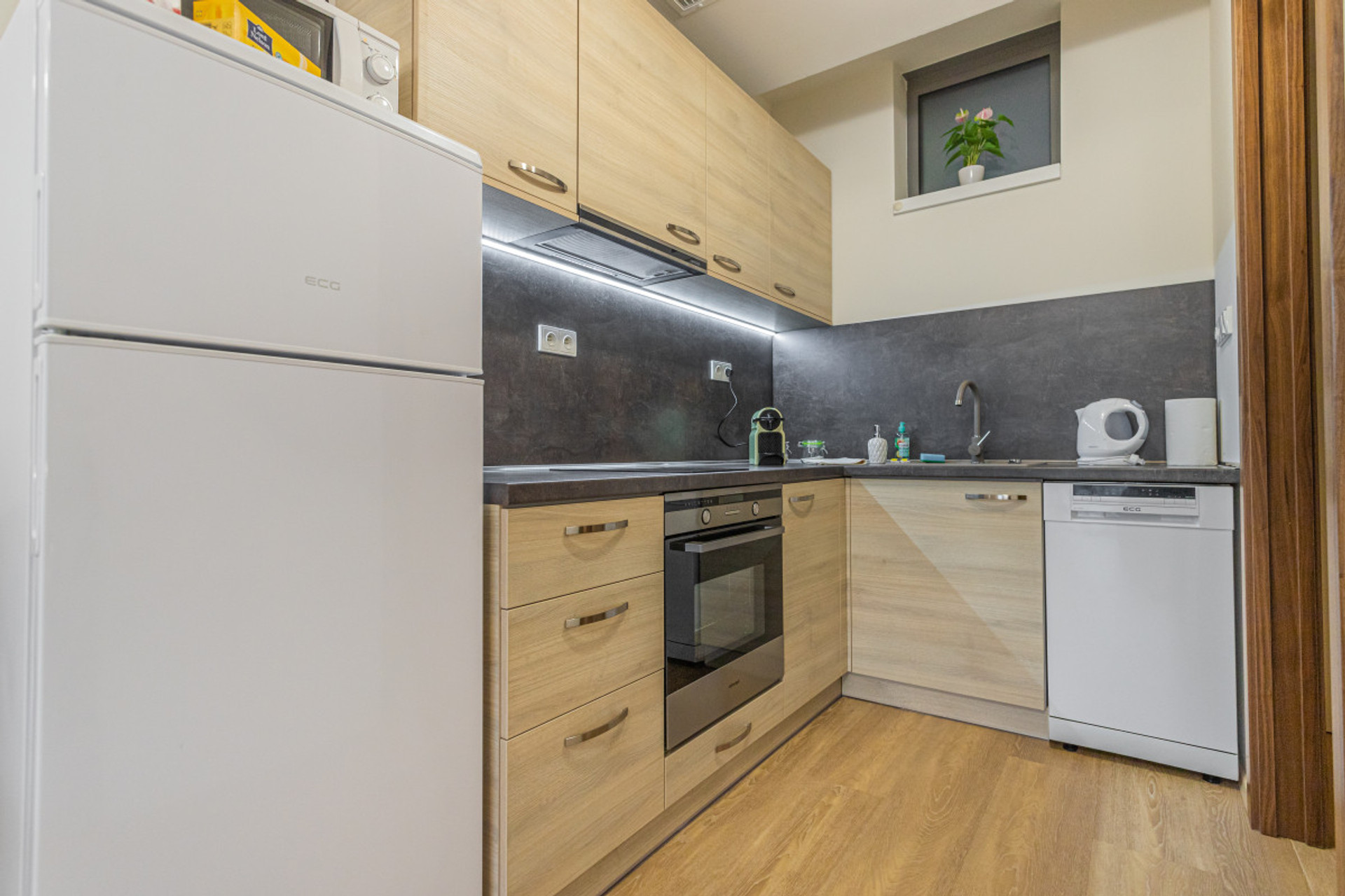 Detail?Kitchenette with Fridge & Dishwasher
