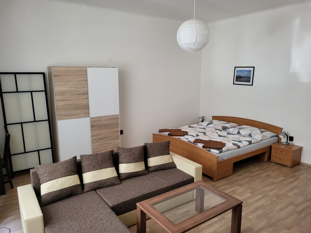 Renovated apartment 1+1 in Letná district preview