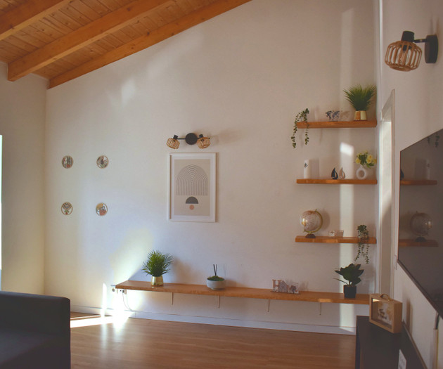 Living room shelving and decor