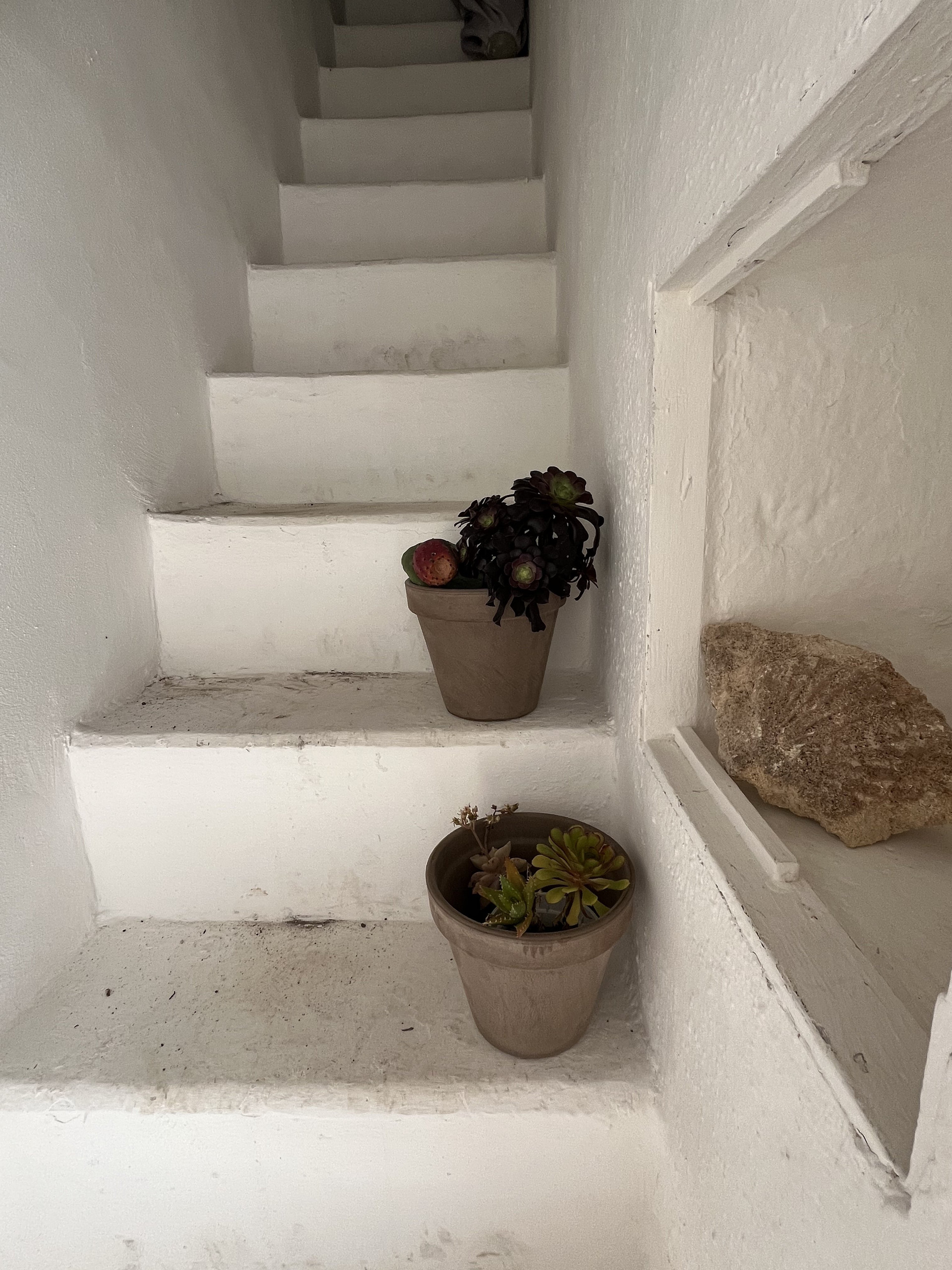 Whitewashed staircase with potted succulents
