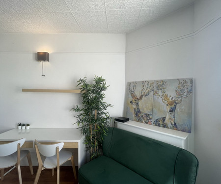 Charming 1 bedroom Levallois/Paris - Civil lease