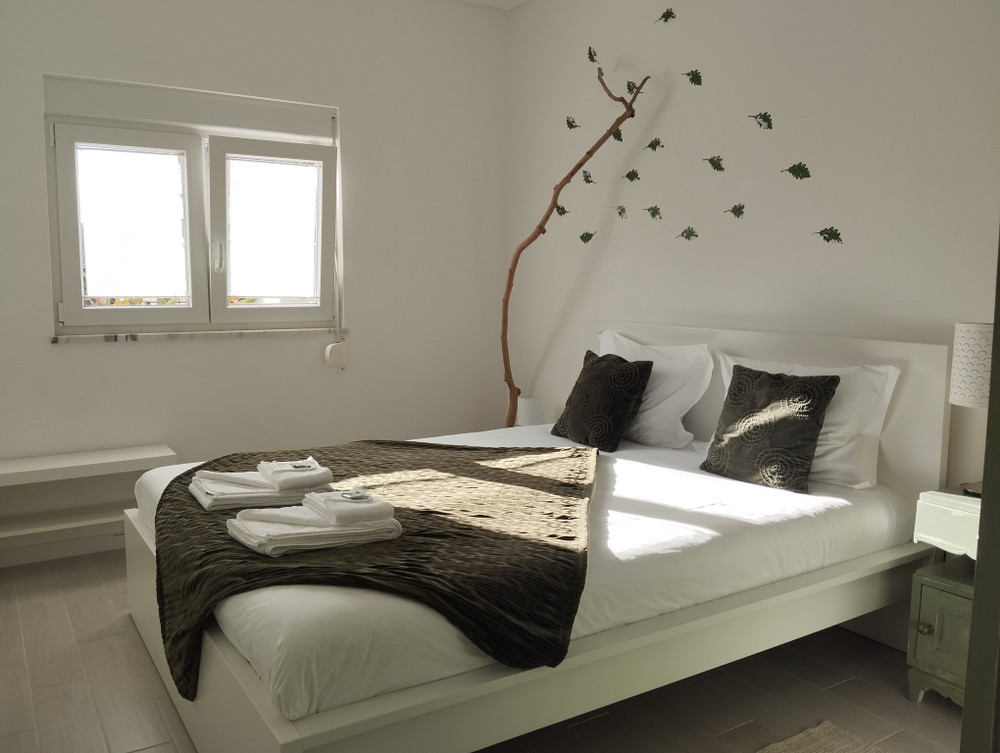 House with sunny courtyard in Coimbra preview