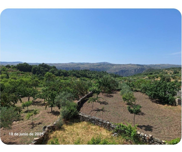 Countryside garden view