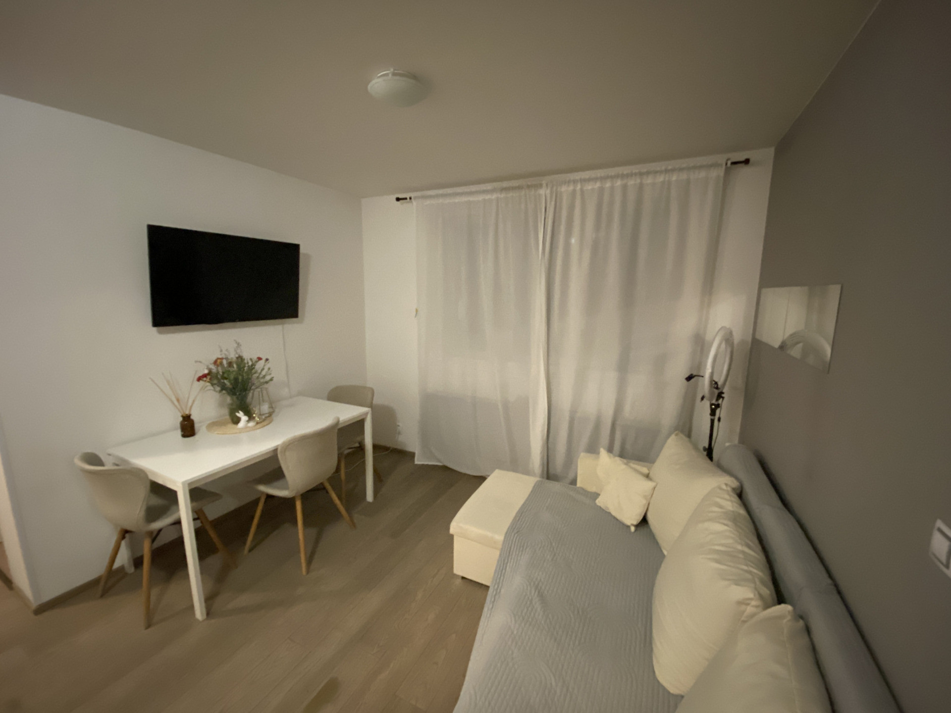 Living room with dining table and sofa