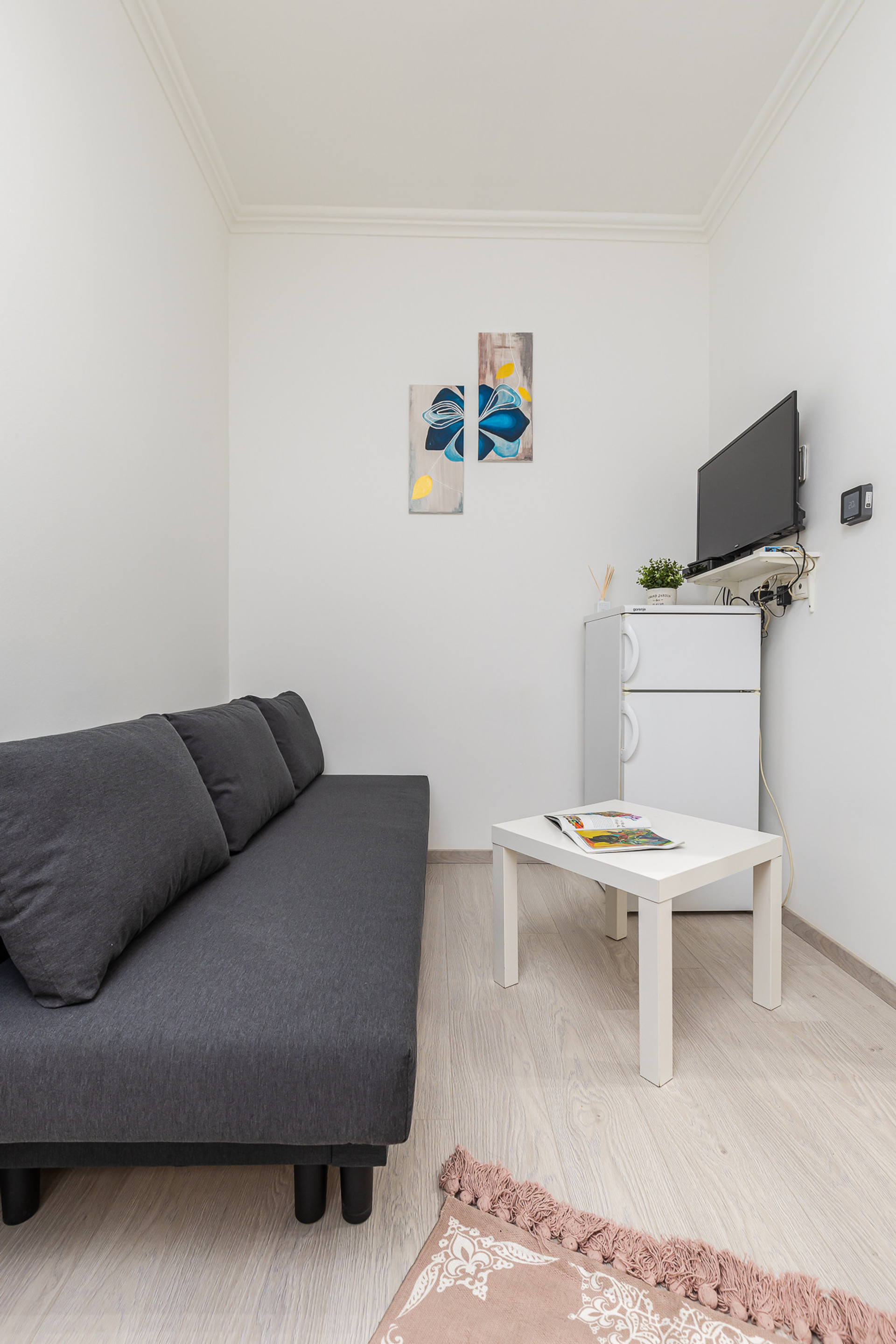 Living room with TV and fridge