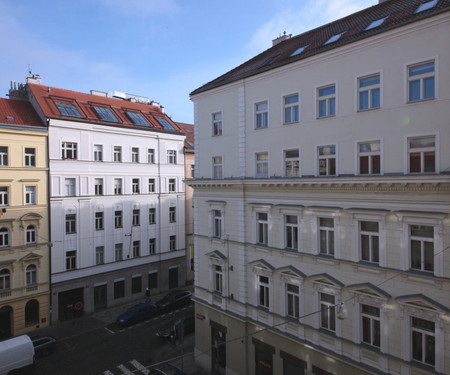 Room in spacious apartment in Letná