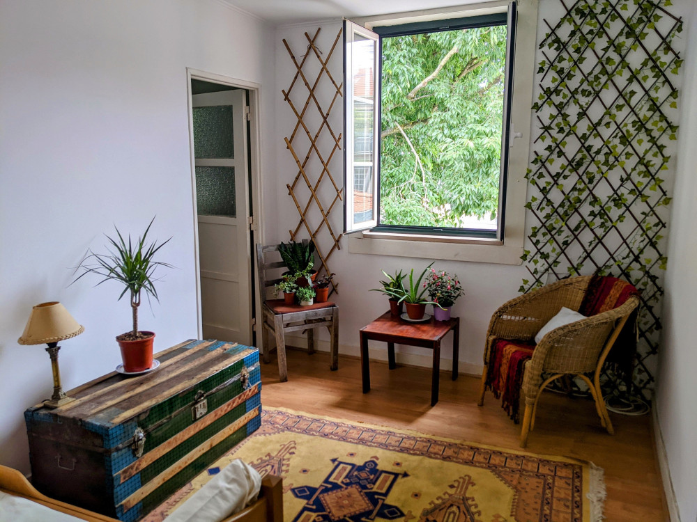 Whole flat - two bedrooms - in historic center preview