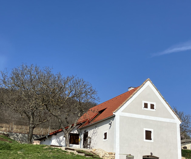 Costs  house with lake Balaton view