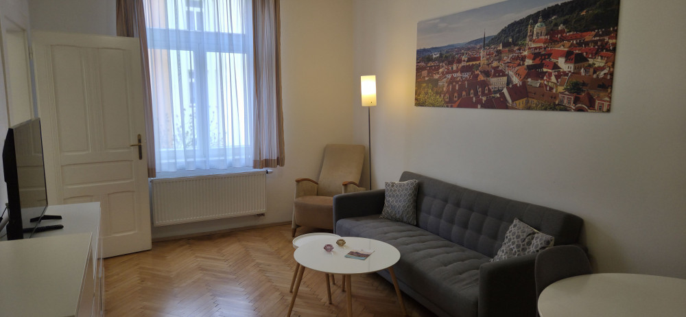 Apartment Superior Economy 41 preview