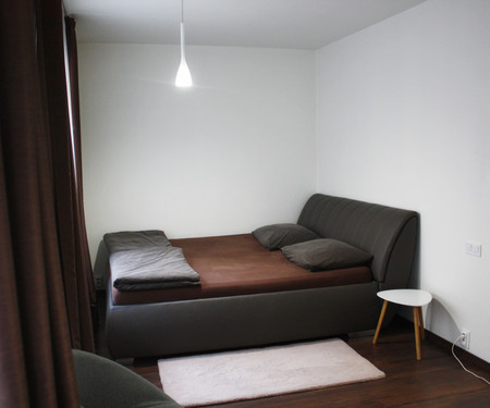 garage1 bedroom+1 livingroom+kitchen -Prague Nusle