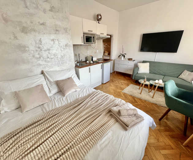 CITY CENTER COZY APARTMENT near UNESCO VYSEHRAD