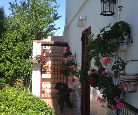 Charming guesthouse in rural Malaga - Double room Lemon