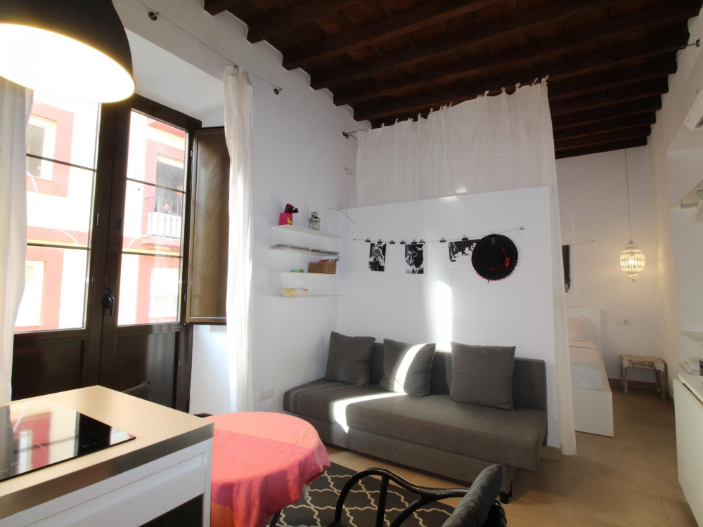 Del Parque Flats Alvarez Suite preview