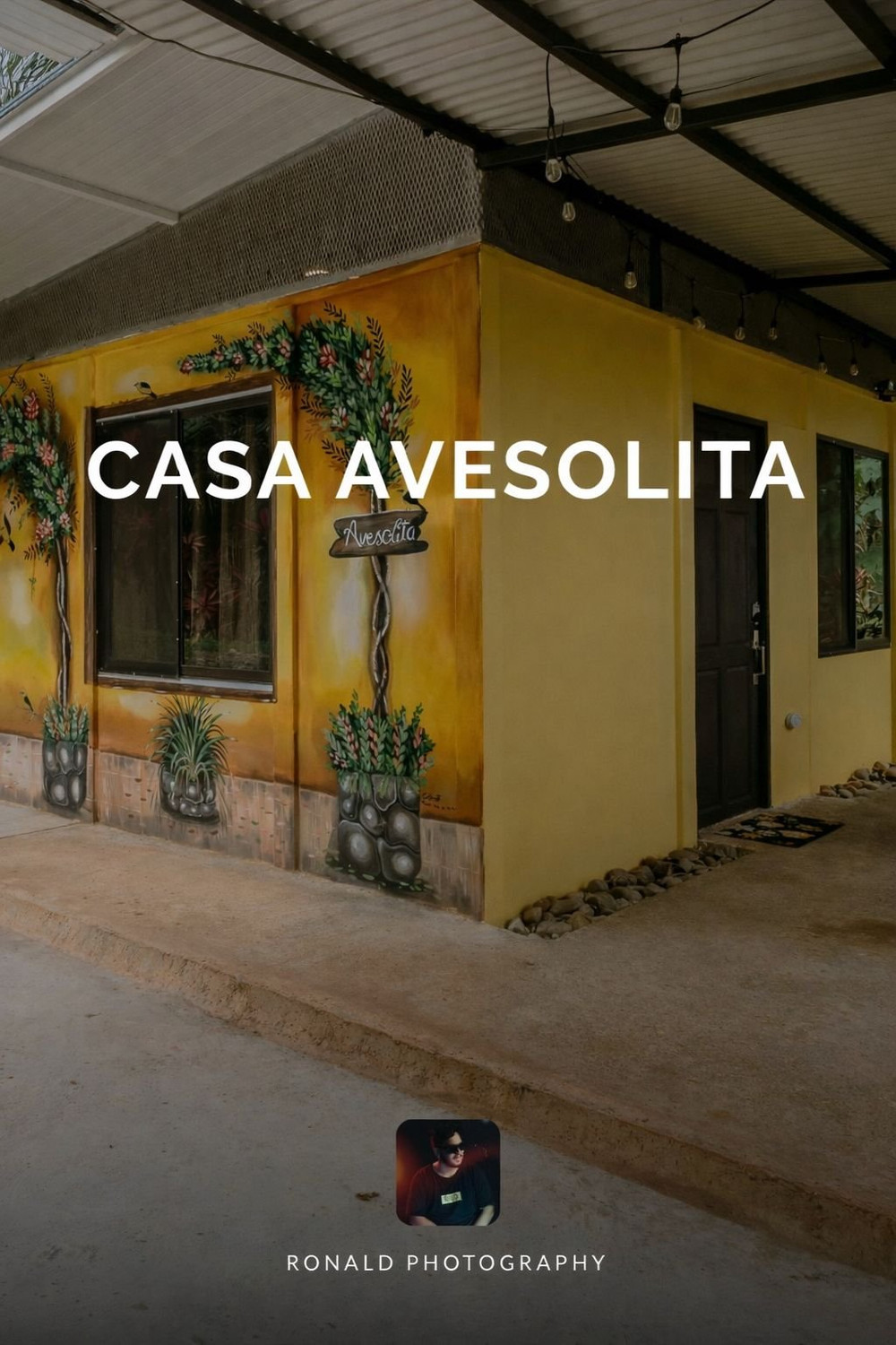 Private AC Room in Forest Hostel/8km to Nat'l Park preview