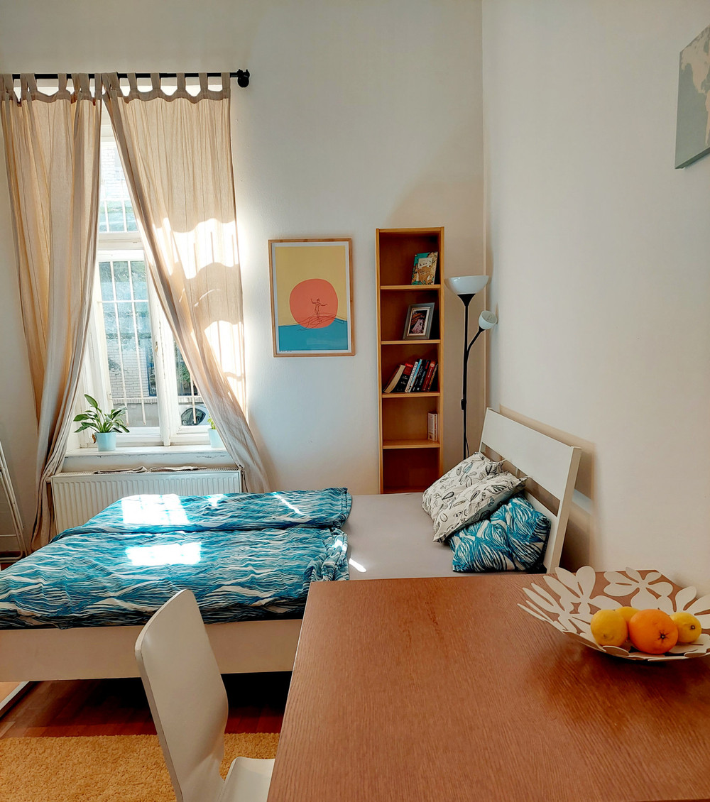 Cozy flat in Vinohrady