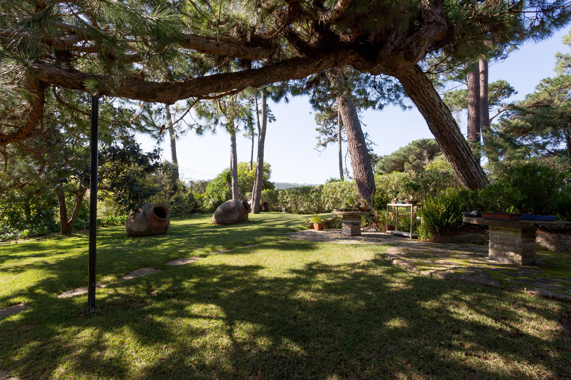 Jardim
