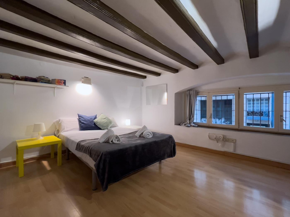 -1 bedroom apartment Barcelona Sant Antoni preview