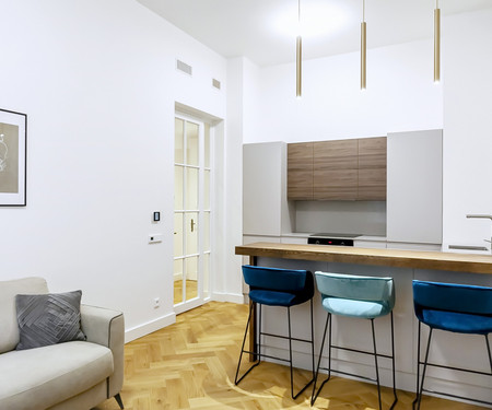 Brand new bijou apartment in the city centre