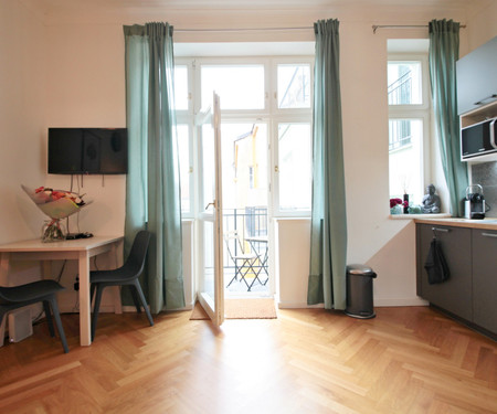 Lovely studio with balcony-Vinohrady area