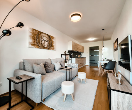 Modern New 2-Room Apartment near Old Danube