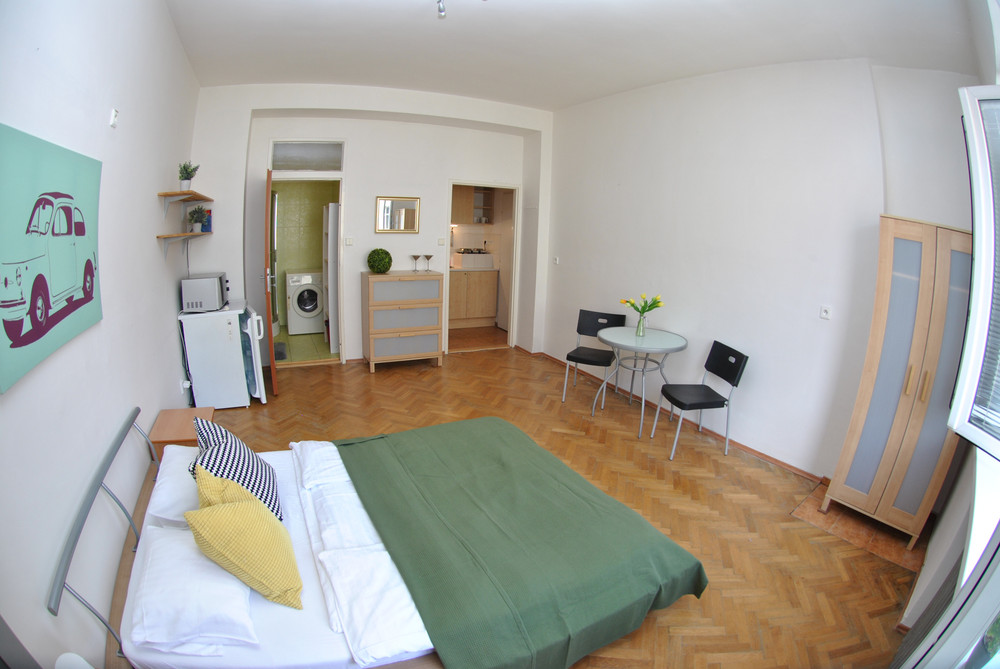 Apartment near the park Lužánky preview