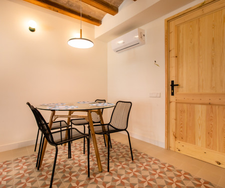 CHEERFUL APARTMENT IN GOTHIC QUARTER AV31