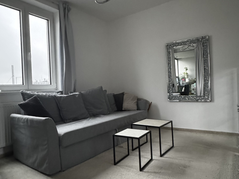 Modern Apartment in Prague preview