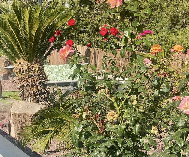 Villa w/ Private Heated Pool, Office, Gym- Madeira