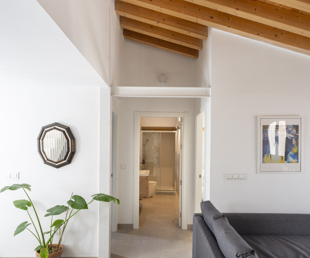 Apartamento con Terraza Albaycin