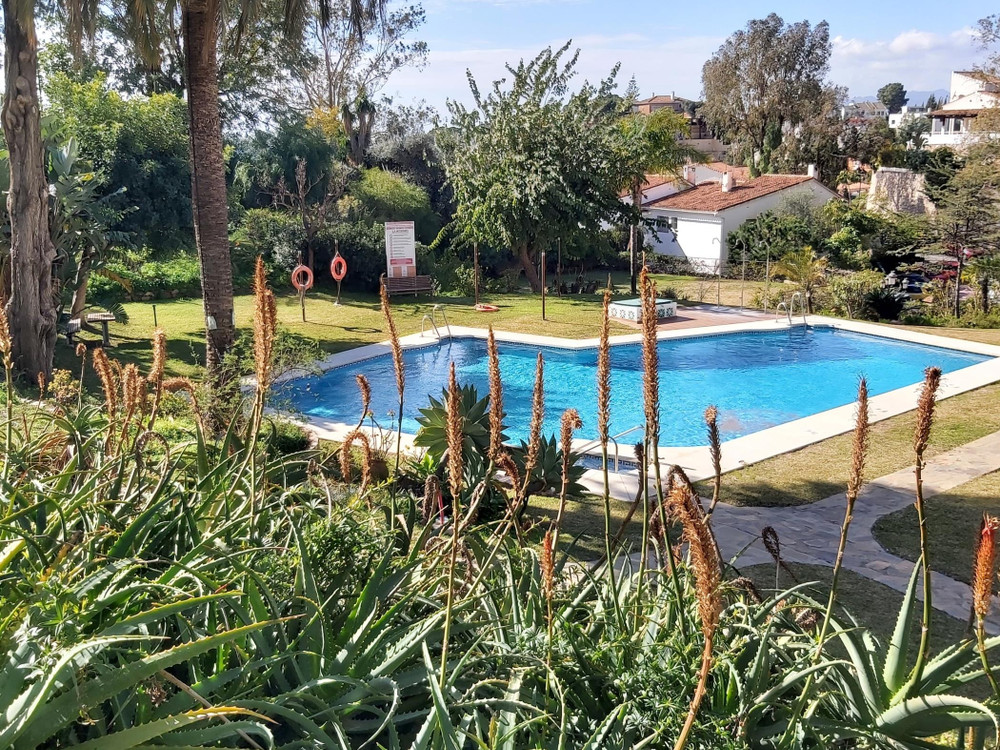 Del Parque Flats Interpares Swimmingpool preview