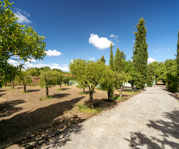 Nature Escape Villa for Groups • Palmela