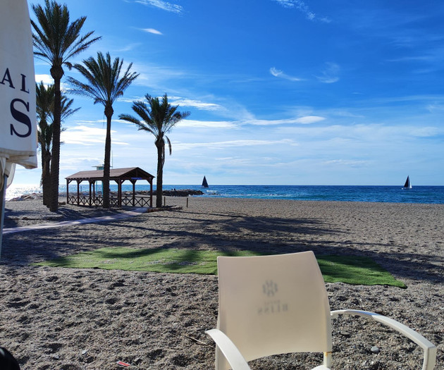 Beach view with palm trees
