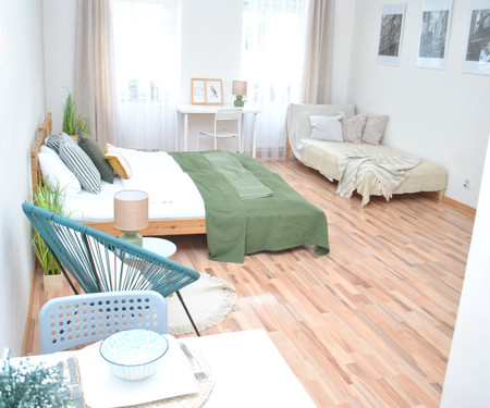 Separate sunny apartment near the centre of Brno
