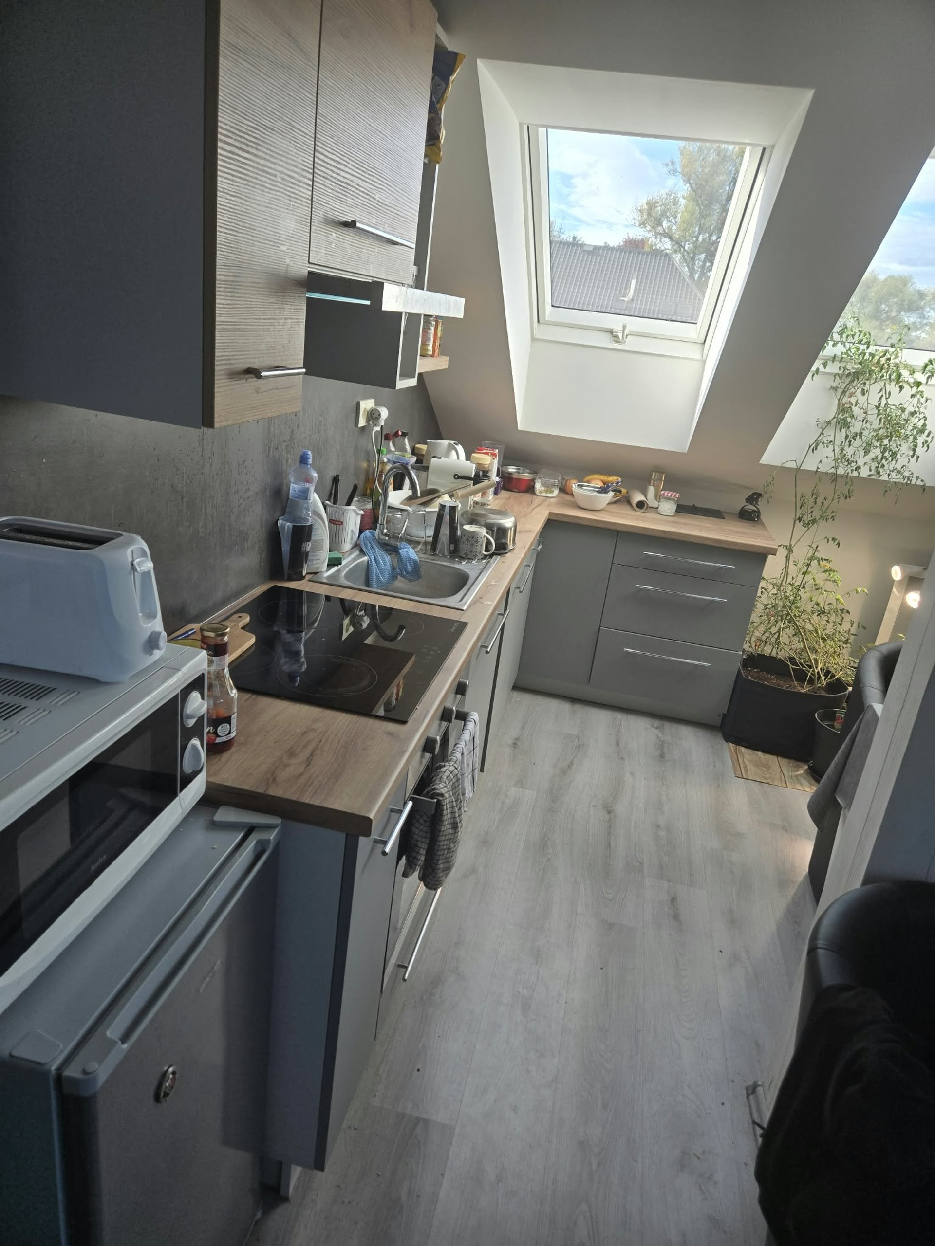 Kitchen with skylight windows