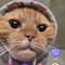 Landlord's avatar