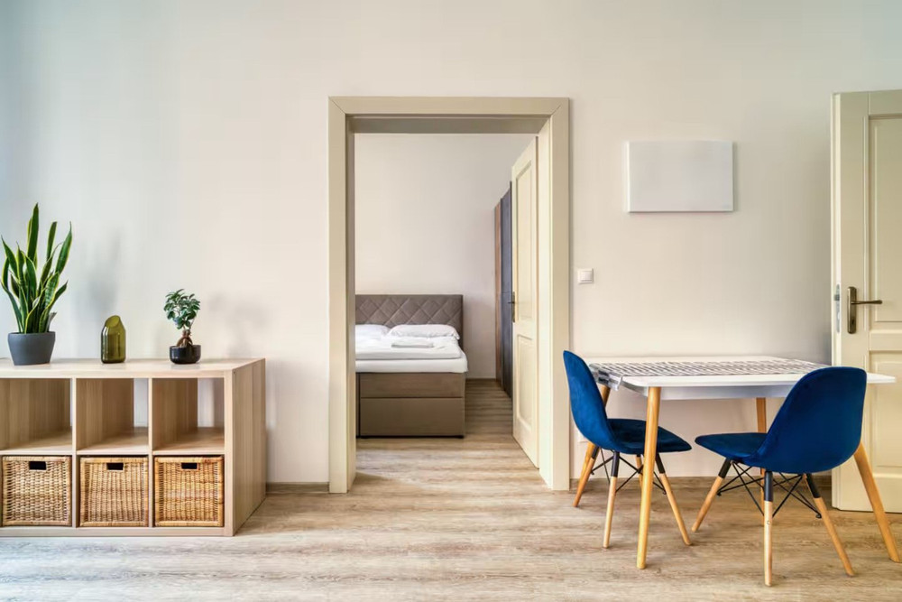 Fügner's apartment in the centre preview