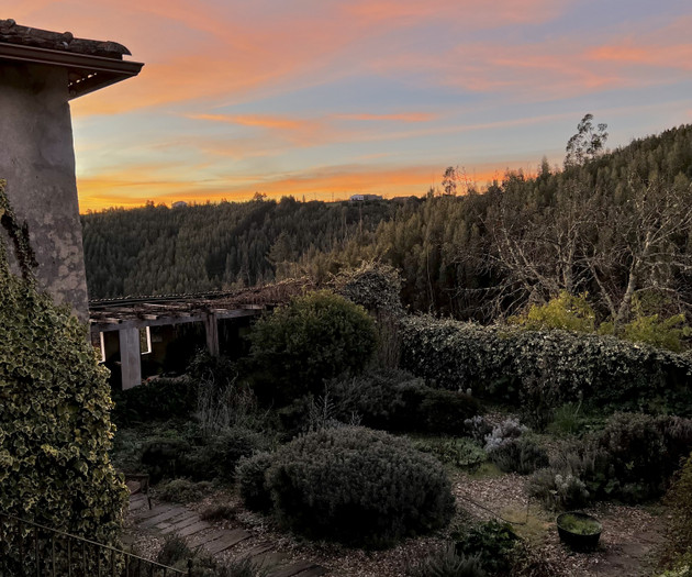 Enchanting, Wild, and Peaceful Portuguese Home