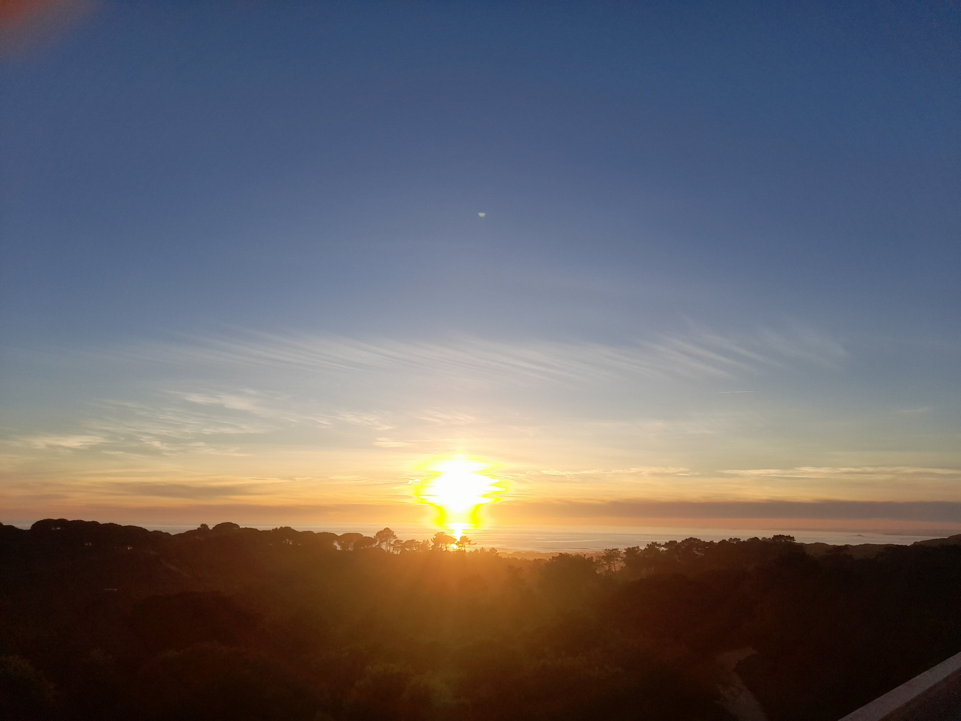View from the house