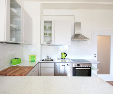 One-bedroom apartment, Fitness, terrace, Prague 10