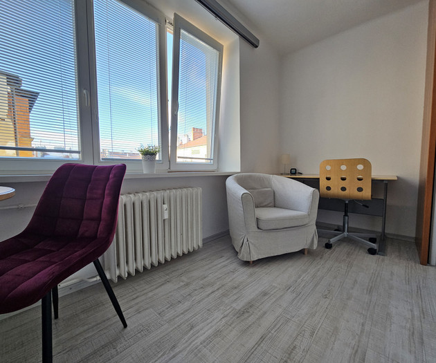 Byt 1kk zastávka Italská, Vinohrady