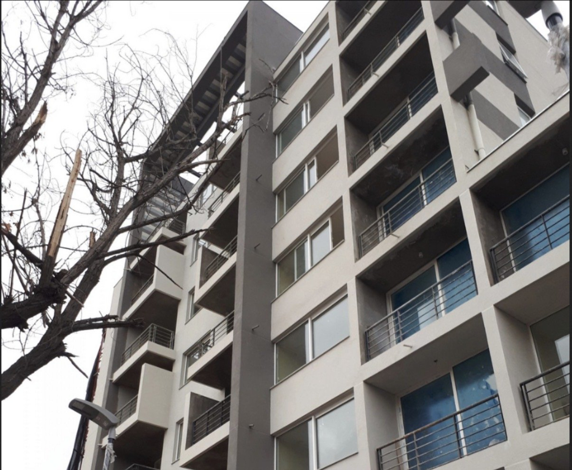 The building