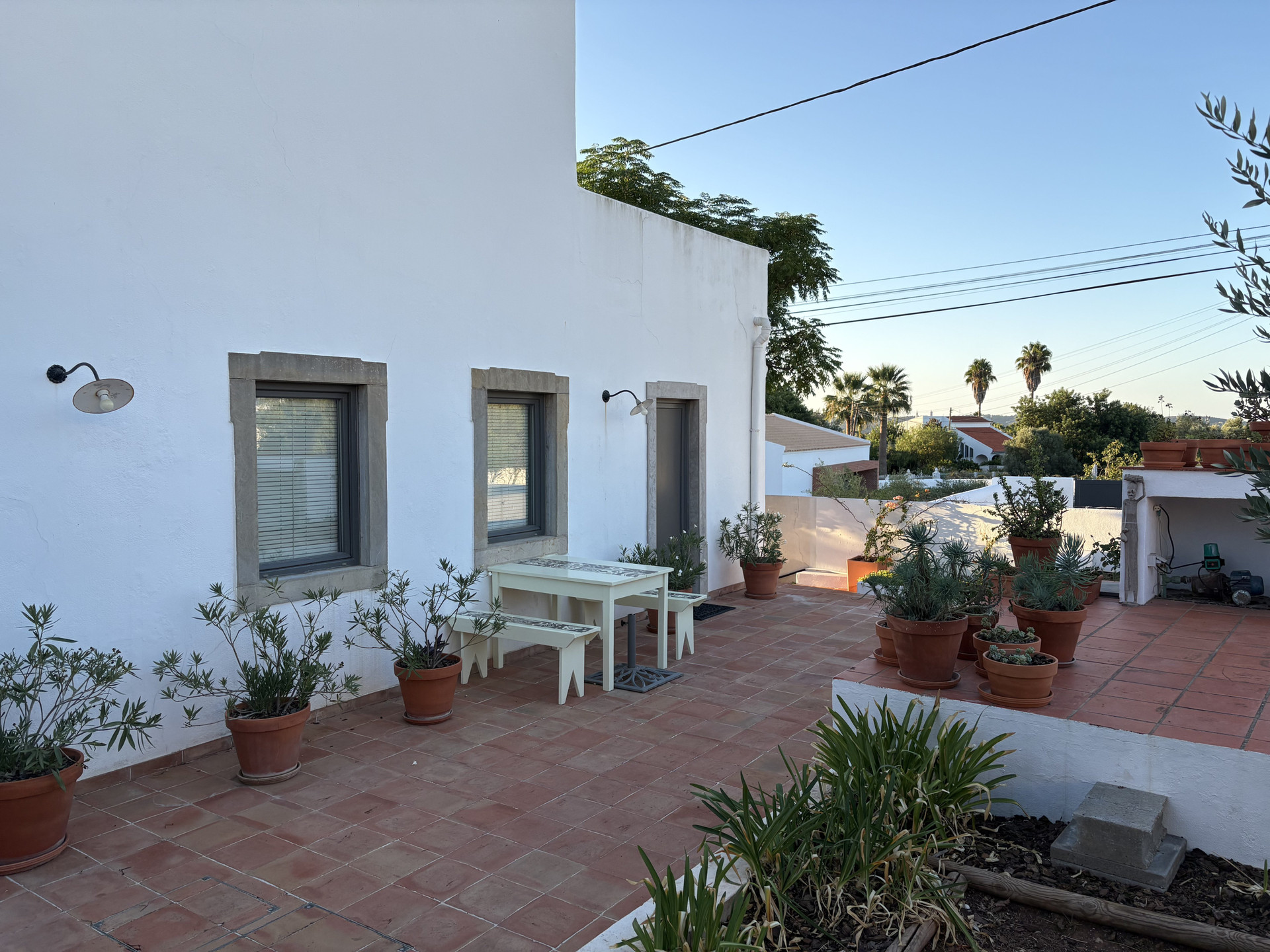 Terrace with potted plants view