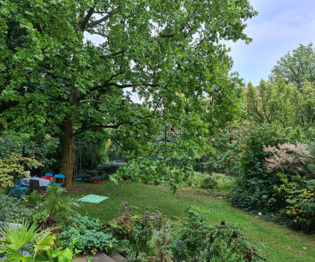 Central and Green Home with Garden & View