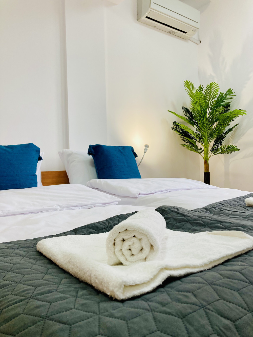 Spacious & Classy Apartment with 2 BDR & 2 Baths preview
