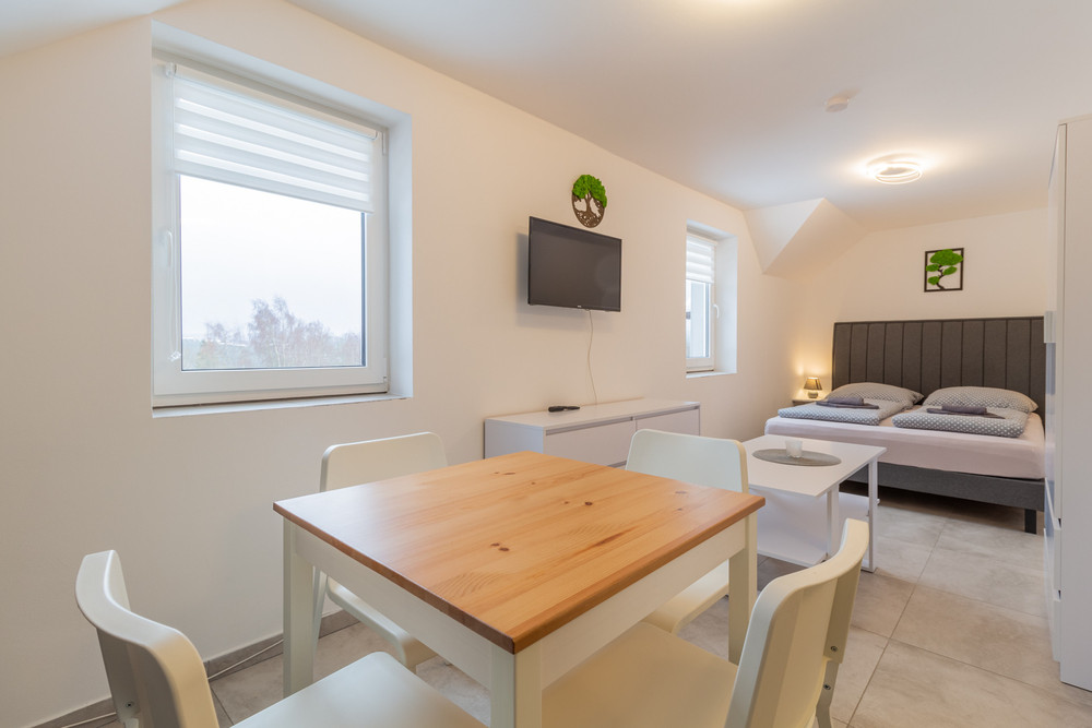 Modern Apartment - Lipno Lake –Nature & Ski resort preview