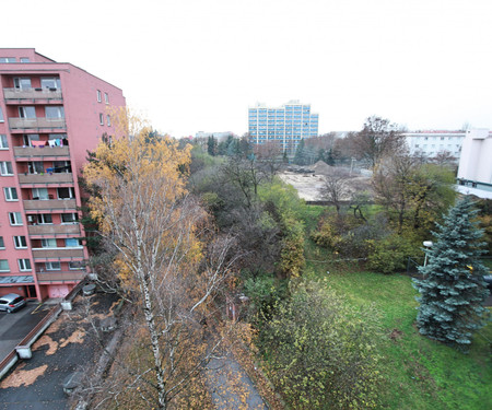 Bright modern two-room apartment at Žižkov