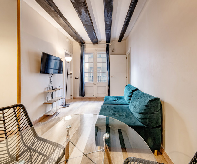 Monthly 2 bedroom flat in Barceloneta-months