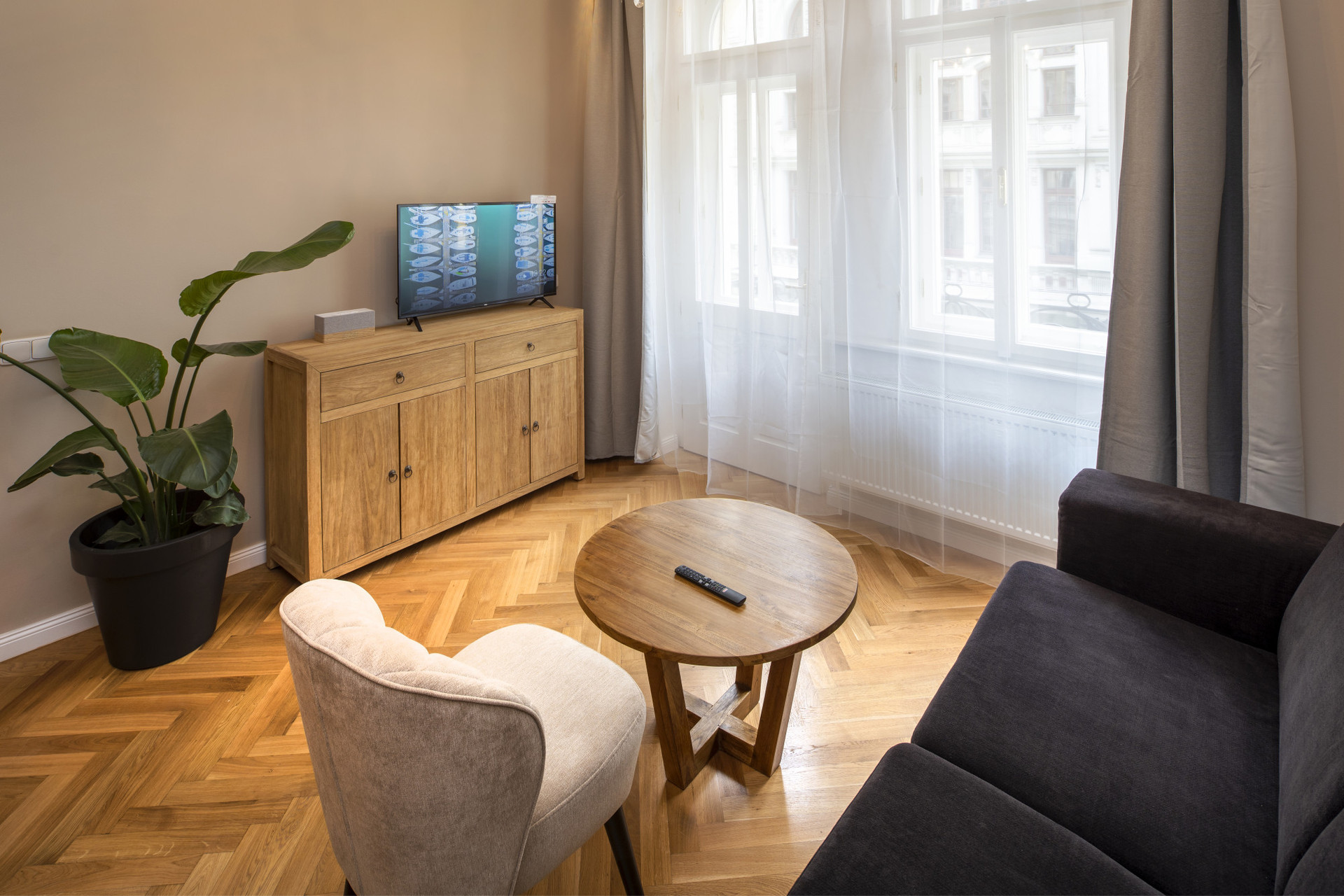 Living room with folding double sofa bed